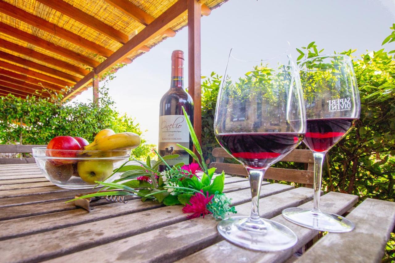 Agriturismo Poggio Pistolese 몬타이오네 외부 사진