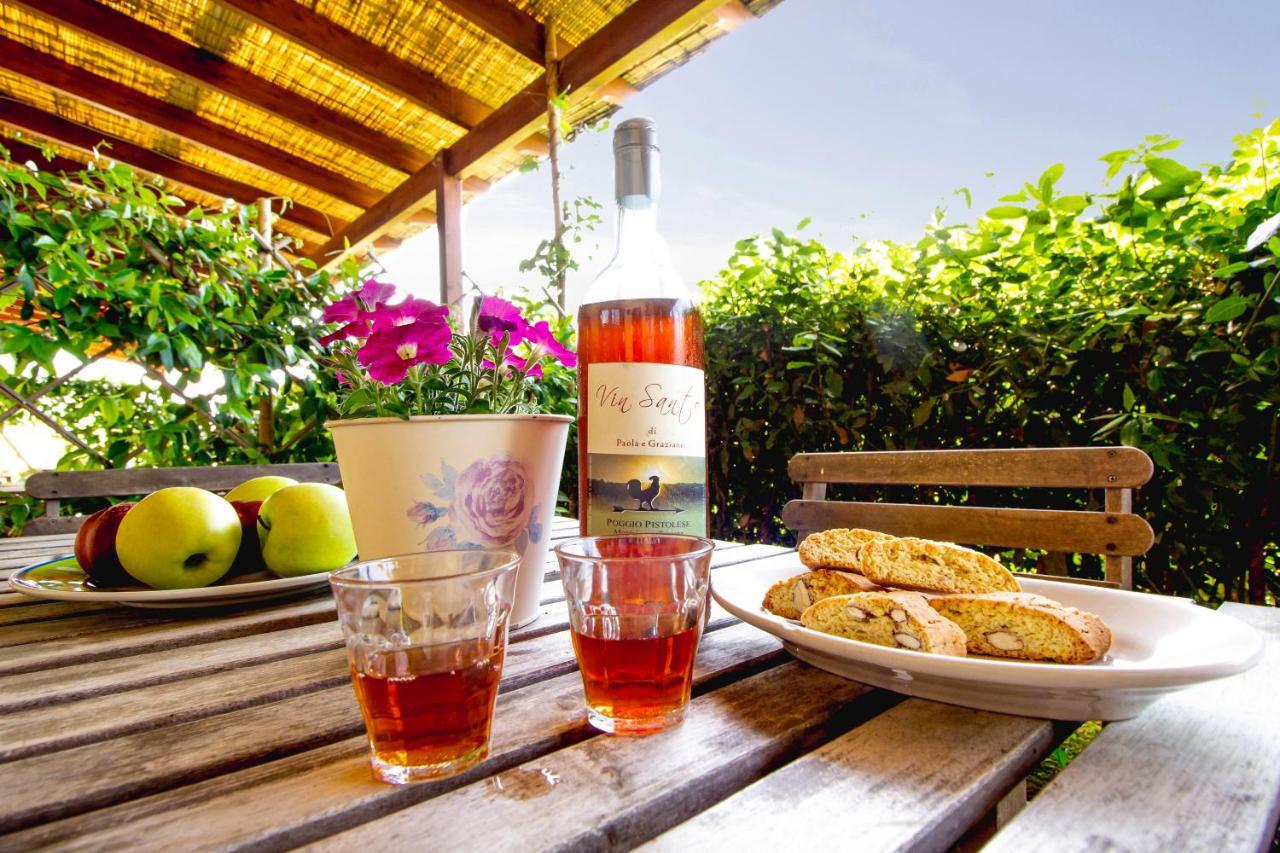 Agriturismo Poggio Pistolese 몬타이오네 외부 사진